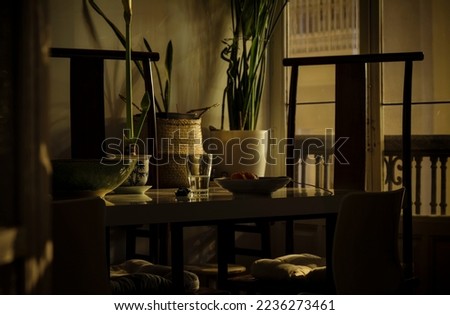 Unwashed plate and glass on table with houseplants in dining room at night