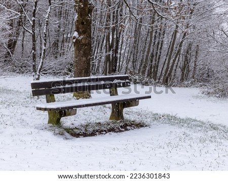 wooden bench in wintry landscape