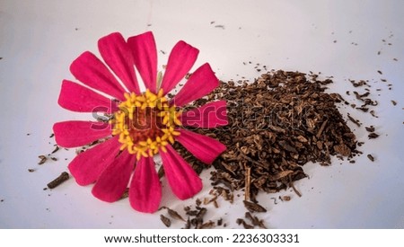 photo of flower with cigarette tobacco. interest for medicine and tobacco as cigarette material