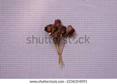 Red dry rose flowers on purple check pattern fabric background. top view, copy space