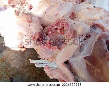 pieces of one domestic chicken with various sizes