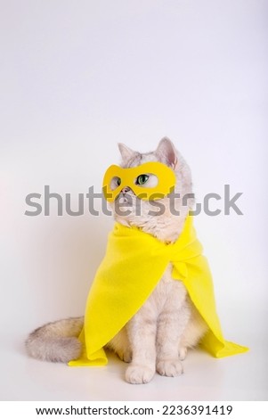 Funny white cat in a yellow mask and cape, sits on white background