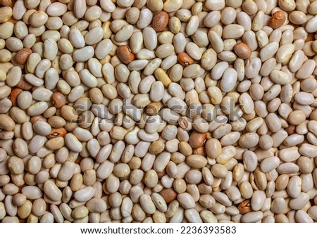 Background from white haricot bean beans. Texture from raw bean seeds. Healthy food concept.