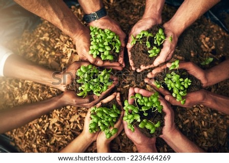Diverse group of people holding sustainable plants in an eco friendly environment for nature conservation. Closeup of hands planting in fertile soil for sustainability and organic farming Royalty-Free Stock Photo #2236464269