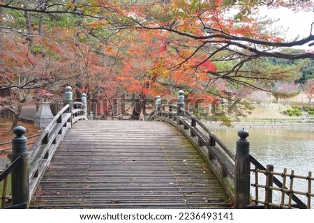 Japanese retro bridge and autumn leaves	
