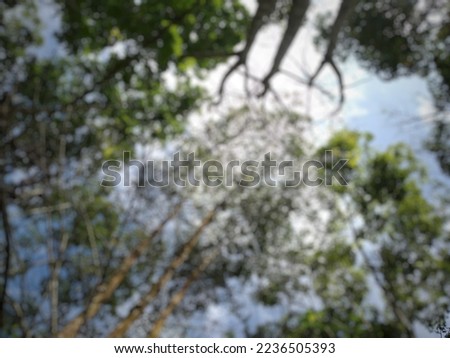 Defocused and abstract photo of a tree on a sky background.
low angle shot