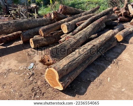 Thailand's leading wood product exports are sawn wood, paper and paperboard, fiberboard, particleboard and wooden furniture and furniture parts Royalty-Free Stock Photo #2236554065