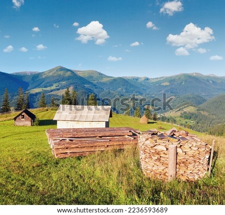 Firewood stack on summer mountain farmyard  (Carpathian Mountains, Ukraine)