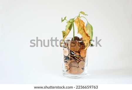 dried up plant on pile of coins in a glass, loss of personal savings,rising prices, inflation and global financial crisis symbol Royalty-Free Stock Photo #2236659763