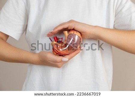 woman is holding mock stomach in the hands. Help and care concept Royalty-Free Stock Photo #2236667019