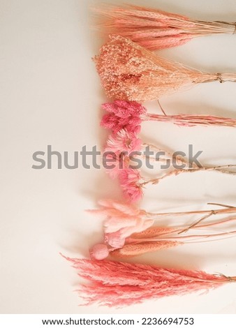 Many types of dry flowers are laid out in flatlays on a white background with space for text Royalty-Free Stock Photo #2236694753