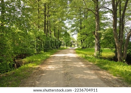 Single lane rural road (alley, pathway) in a green summer forest park. Deciduous trees, plants. Soft sunlight, sunbeams, sunshine. Nature, ecology, ecotourism, hiking, cycling, nordic walking themes Royalty-Free Stock Photo #2236704911