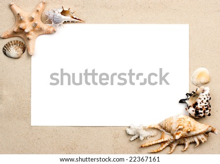 Seashells and starfish on sand picture frame