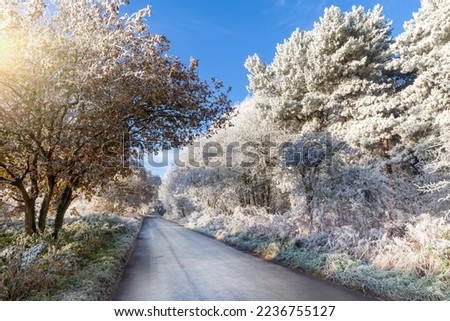 Winter tree frost on UK rural roads. Icy weather with clear blue skies in December Royalty-Free Stock Photo #2236755127