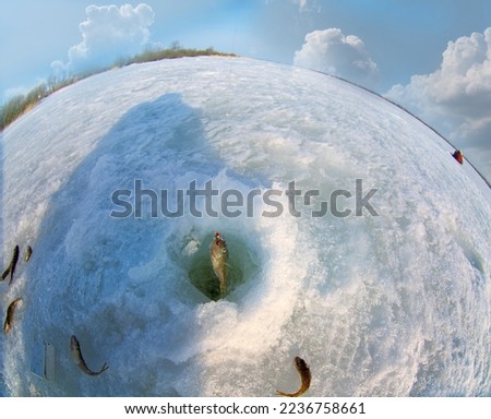 Ice recreational fishing. A picture of ruffe (Acerina cernua) fishing with a hole, a panorama of the river and the forest shore. A fish-eye lens is used