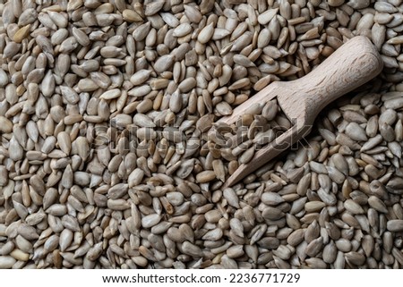 Grey raw sunflower seeds with wooden spoon in background, close up, top view. Purified seeds of sunflower