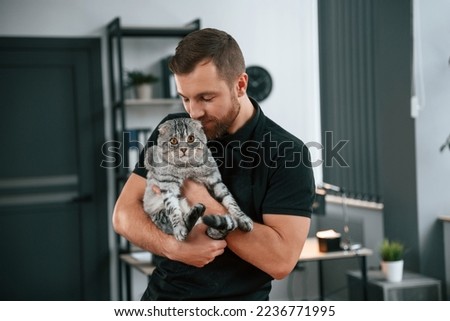 Man is holding the animal in hands. Groomer is taking care of scottish fold gray tabby cat indoors. Royalty-Free Stock Photo #2236771995