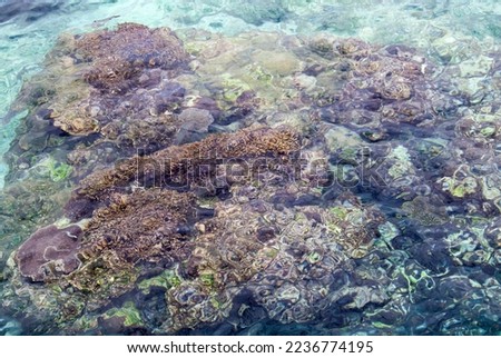 The abstract view of transparent waters on Tadine village beach, Mare island (New Caledonia). Royalty-Free Stock Photo #2236774195