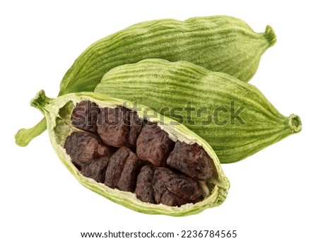 Cardamom isolated on white background, clipping path, full depth of field Royalty-Free Stock Photo #2236784565