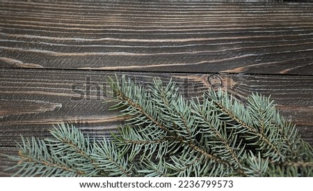 Fir branches on the side, on a wooden background, with space for text, with natural light