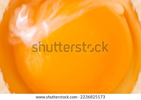 Texture of raw egg yolk as a background. A close shot of an egg yolk. Macro photo. Egg yolk close up.
