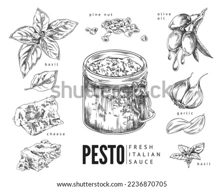 Italian pesto ingredients and fresh pesto sauce in jar, sketch vintage style vector illustration isolated on white background. Italian cuisine dish and food dressing. Royalty-Free Stock Photo #2236870705