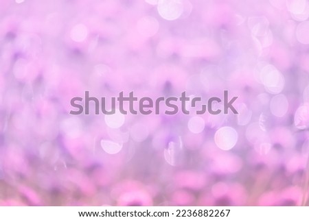 Natural pink blurred background.Abstract pink bubble outdoor focus texture