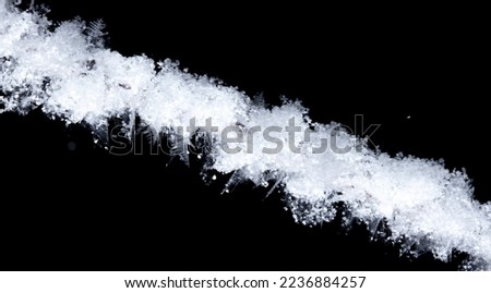 White snowflakes on a tree branch is isolated on a black background. Winter