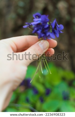 Close up beautiful flowers concept photo. Female hand. First view hand photography with green plants on background. High quality picture for wallpaper, travel blog, magazine, article