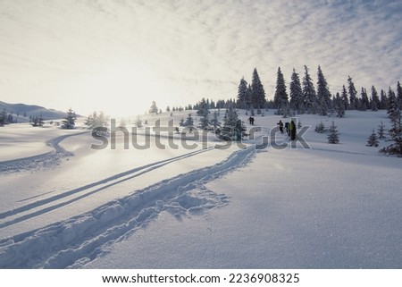 Skiers leaving trails behind on snow landscape photo. Beautiful nature scenery photography with sky on background. Idyllic scene. High quality picture for wallpaper, travel blog, magazine, article