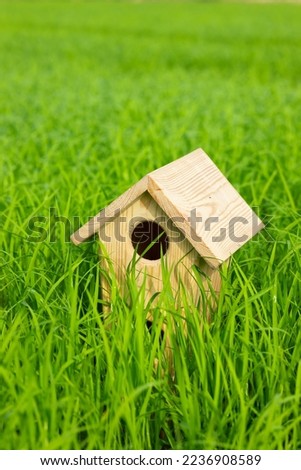 These pictures are birdhouse which are located in different places.