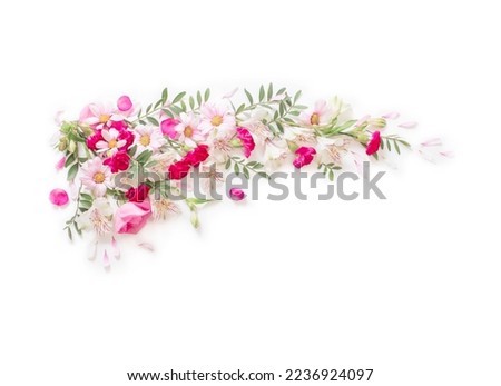 beautiful pink and white flowers isolated on white background