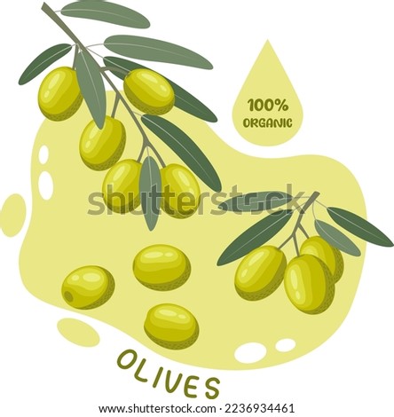 Vector illustration of green olive branches with leaves and individual berries. Vegetable illustration in a flat style on an olive background.