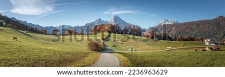 Wonderful summer landscape with ground road and cow grazing on fresh green mountain pastures and Watzmann mount in the Alps. Incredible nature scenery. Amazing panoramic image. stunning bavarian alps Royalty-Free Stock Photo #2236963629