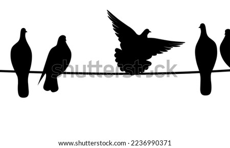 Black silhouette of a dove perched on a wire on a white background. A group of black bird shadows.