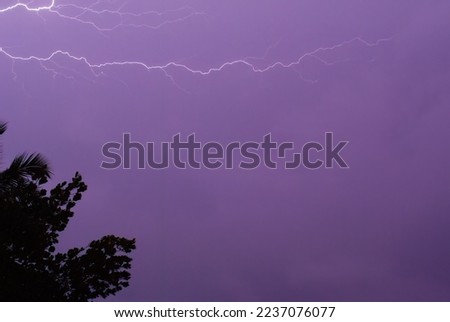 lightnings light the night sky in purple.
some silhouettes of coconut and other trees visible in the frame
