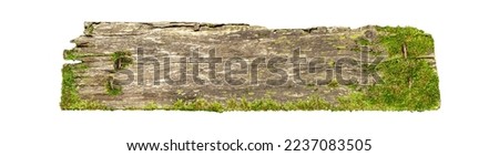 Old board with damage and moss on white isolated