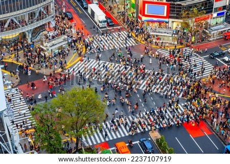 Shibuya, Tokyo, Japan crosswalk and cityscape in the late afternoon. Royalty-Free Stock Photo #2237107919