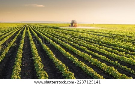 Tractor spraying pesticides on soybean field  with sprayer at spring Royalty-Free Stock Photo #2237125141