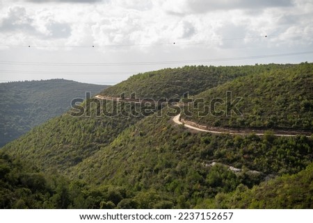 Mount Carmel National Park. view of Carmel forest Israel. A path in the forest. Royalty-Free Stock Photo #2237152657