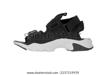 Modern sandal shoe on white background