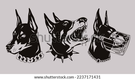 Portraits of a Doberman dog. Set of three various heads. Dog with spiked and chain collar, dog with muzzle. Calm and Barking doberman. Hand drawn Vector illustration. Print, dog training logo template Royalty-Free Stock Photo #2237171431