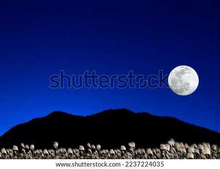 Mountains, Japanese pampas grass and the full moon.
Autumn night concept.
