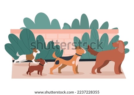 Dogs run outdoor. Charming and adorable animals, pets. Walk and friends. Mammals and nature. Poster or banner for website. Canine competition, active lifestyle. Cartoon flat vector illustration