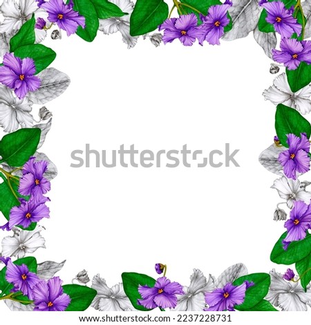 Square floral frame of African violets (Saintpaulia). Hand-drawn graphics and watercolor. Design for postcard, invitation, greeting, print, logo, label. Valentine's Day, wedding, birthday, etc.