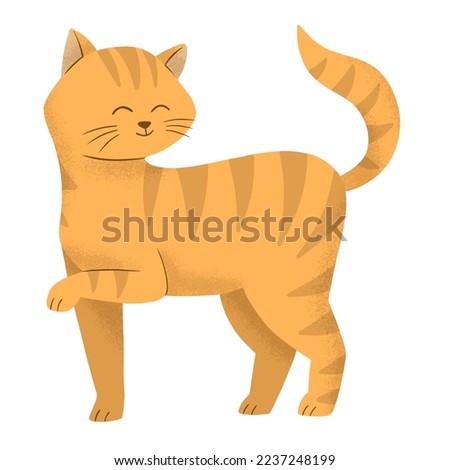 beautiful orange cat clip art illustration 