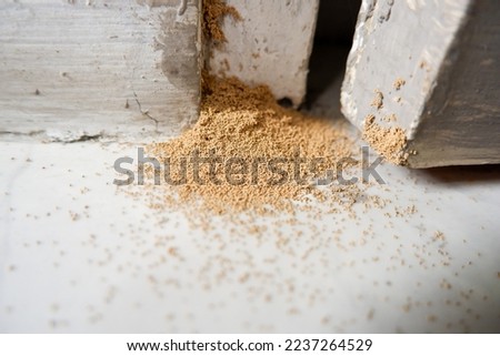 Dry wood is usually called dry wood frass derived from termite droppings, Cryptotermes spp. Granul oval pellets on door frames Royalty-Free Stock Photo #2237264529