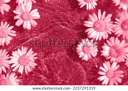 Trendy color of the year 2023. Bright creative background. Natural flowers and wave water on shining background toned in viva magenta color. Flat lay Top view.