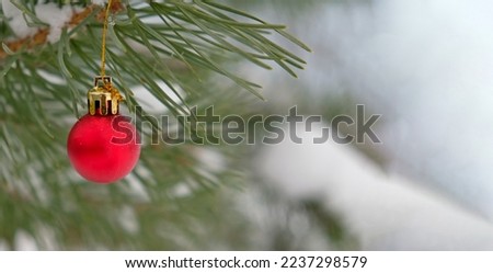 The defocused background of Fir green branches are decorated with small red ball. Selective focus. Snow-covered spruce pine branches. Winter snowy banner with copy space