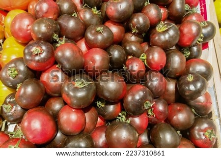 Cherokee Purple Tomato. Cherokee purple is a very old variety tomato, also known as beefsteak Royalty-Free Stock Photo #2237310861